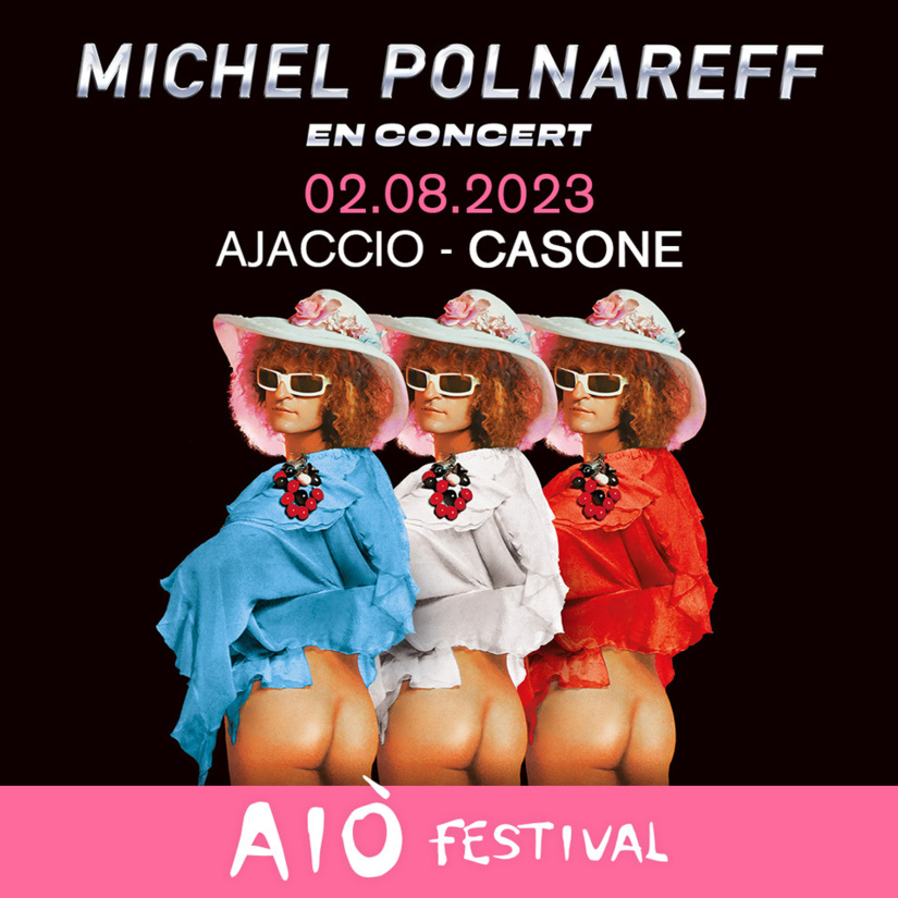 MICHEL POLNAREFF